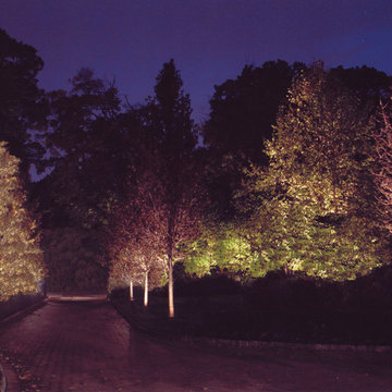 Landscape and Poolscape Lighting
