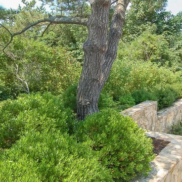 Landscape Architecture Chatham MA Retaining Wall and Garden