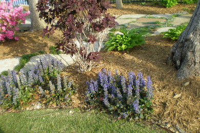 Photo of a partial sun garden in Little Rock with mulch.