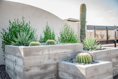Inspiration for a large modern drought-tolerant and full sun front yard landscaping in Phoenix.