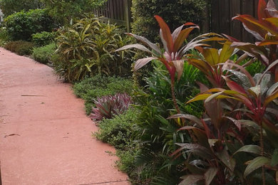This is an example of a tropical full sun side yard concrete paver garden path in Miami for summer.