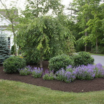 Landscape Design and Construction