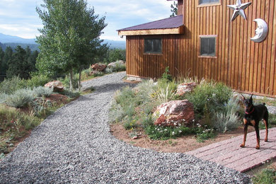 Diseño de camino de jardín rústico de tamaño medio en patio trasero con jardín francés, exposición parcial al sol y gravilla