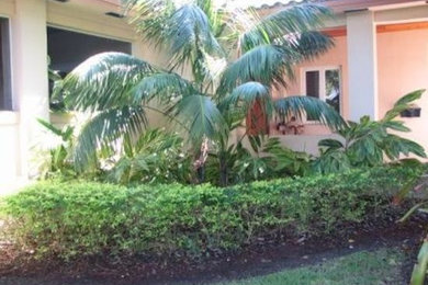 マイアミにある広いおしゃれな庭 (日向) の写真