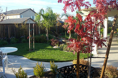 Ejemplo de jardín grande en patio trasero con exposición total al sol