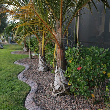 Landscape Design,Palms Plants Charcoal Misquite Stone Curbing