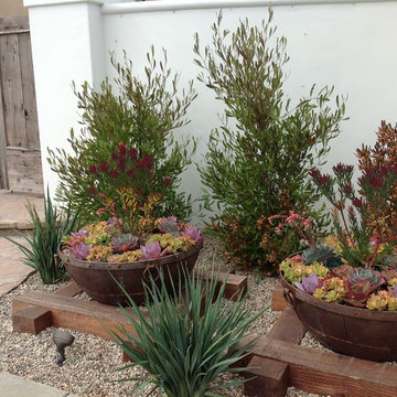 Landscape Design Private Residence