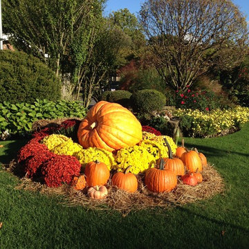 Landscape Designs