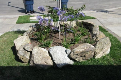 Diseño de jardín clásico pequeño en primavera en patio delantero con exposición total al sol, adoquines de piedra natural y jardín de macetas
