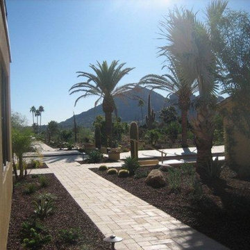 Landscape Ideas