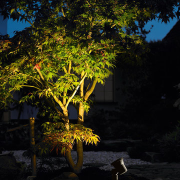Landscape Lighting