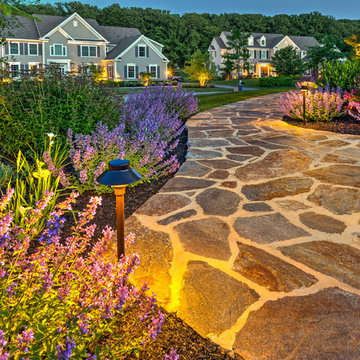 Landscape Lighting