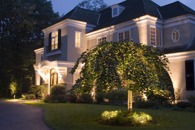 Photo of a large traditional front driveway garden in New York.