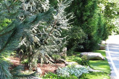 Aménagement d'un jardin.