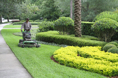 Inspiration for a mid-sized traditional shade front yard mulch formal garden in Orlando.