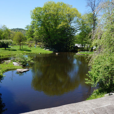 This is an example of a pond in New York.