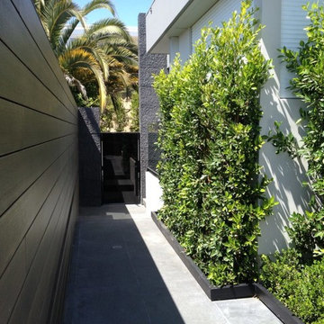 Landscape Projects