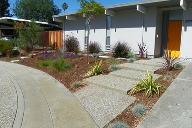 Идея дизайна: солнечный засухоустойчивый сад среднего размера на переднем дворе в стиле ретро с хорошей освещенностью и мощением тротуарной плиткой