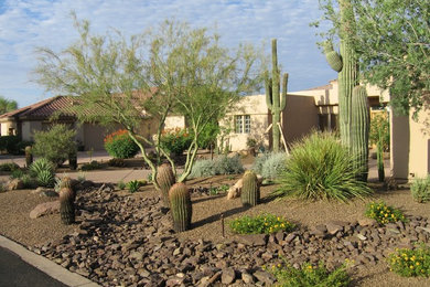 Inspiration for a mediterranean garden in Phoenix.