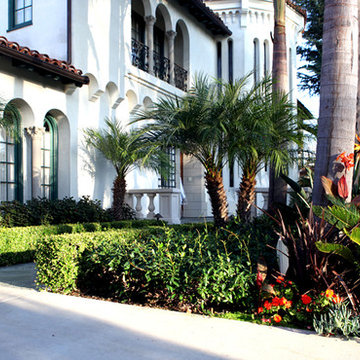 Landscape Renovation- Beverly Hills