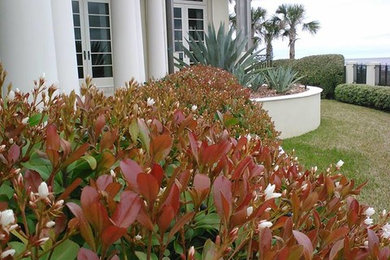 Inspiration for a large drought-tolerant and partial sun front yard landscaping in Jacksonville.