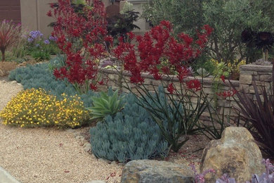 Idee per un piccolo giardino xeriscape mediterraneo esposto in pieno sole davanti casa con ghiaia