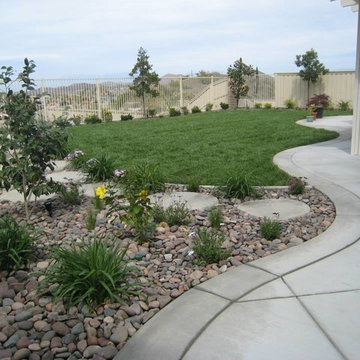 Landscaped Yard with Concrete, Sod and Cover