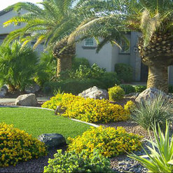 Aquarius Landscape Henderson Nv Us 89015 Houzz