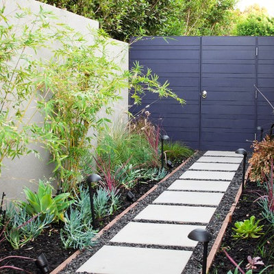 This is an example of a contemporary backyard landscaping in Los Angeles.