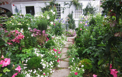 Lay of the Landscape: Cottage Garden Style