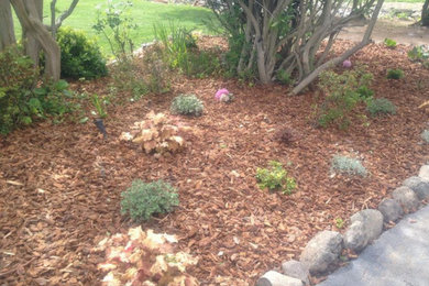 Design ideas for a large drought-tolerant and partial sun stone landscaping in Sacramento.