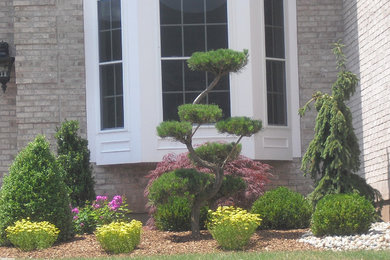 ボストンにあるトラディショナルスタイルのおしゃれな庭の写真