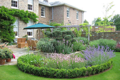 Design ideas for a back garden in Other with a potted garden.