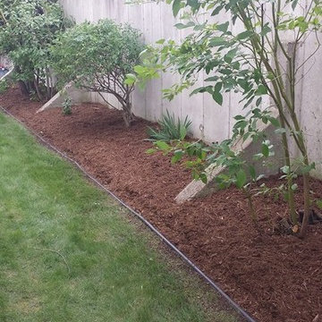 Landscaping and Lawn Maintenance