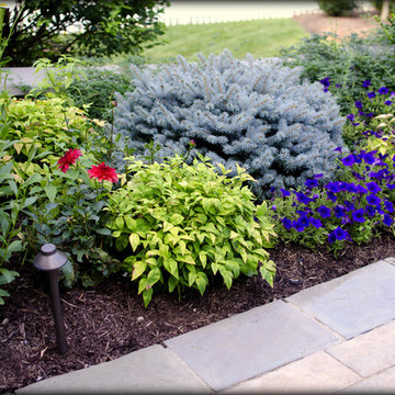 Landscaping Highlights
