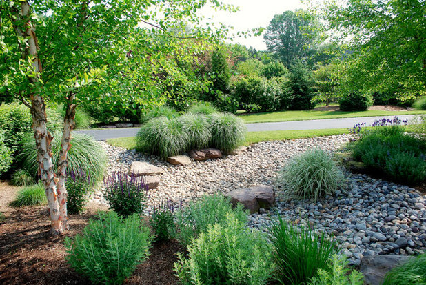 Transitional Garden by Sisson Landscapes