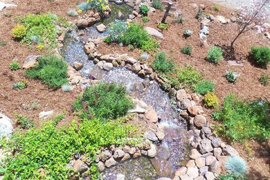 Imagen de jardín clásico de tamaño medio con estanque
