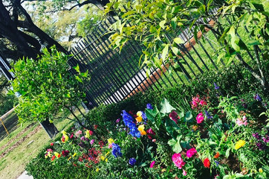 ニューオリンズにあるおしゃれな庭の写真