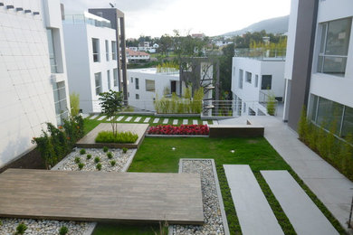 This is an example of a modern garden in Miami.
