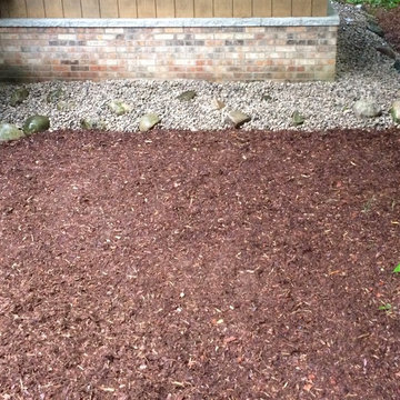 Landscaping to Improve Drainage