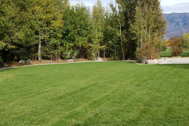 Diseño de pista deportiva descubierta clásica grande en patio trasero con muro de contención, exposición parcial al sol y adoquines de hormigón