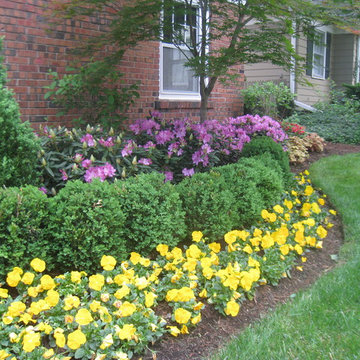 Landscaping with Annuals