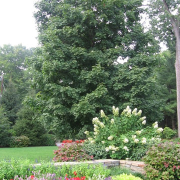 Landscaping with Mature Trees NJ