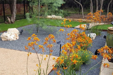 Inspiration for a large contemporary full sun backyard landscaping in Austin.