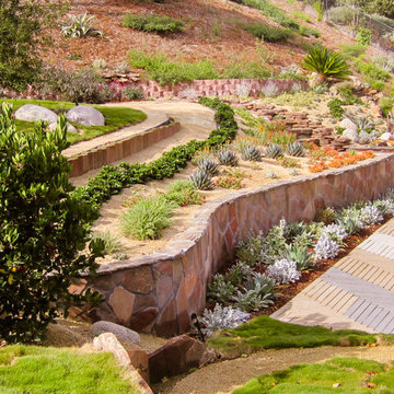 Large Backyard Landscape Design - Carlsbad