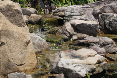 Large Koi Pond with Grey Garden Boulders and Ledge rock