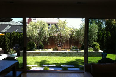 Modelo de jardín moderno de tamaño medio en patio trasero con fuente