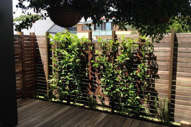 Cette photo montre un petit jardin industriel avec une exposition ombragée et une terrasse en bois.