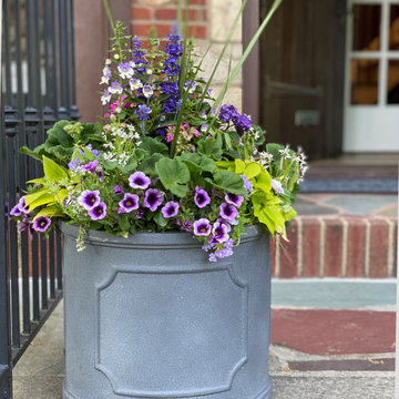 Summer Containers