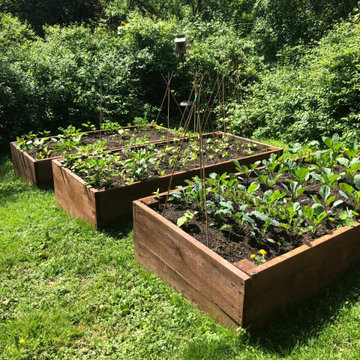 Laura's Raised Beds